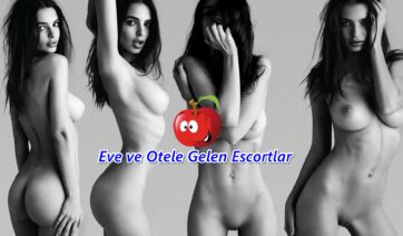 Sahibe Escort Gaziantep